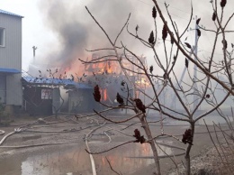 В Павлограде произошел пожар в кафе (ФОТО и ВИДЕО)