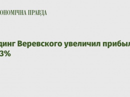 Холдинг Веревского увеличил прибыль на 83%