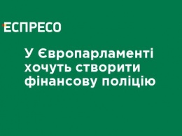 В Европарламенте хотят создать финансовую полицию