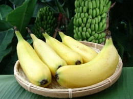 В Японии вывели сорт банана со съедобной кожурой (фото)