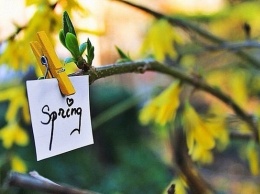Без сильных морозов, но дождливая: синоптики рассказали, какой будет весна в этом году