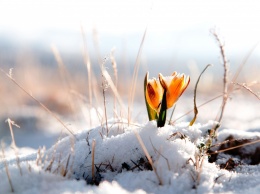 Весна отменяется: синоптики дали снежный прогноз на март