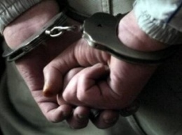 В Запорожье отправили под домашний арест педофила