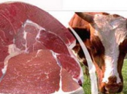 Сравнили стоимость мяса в регионах Украины