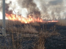 Вчера Голопристанские пожарники тушили возгорание сухой травы и камыша