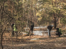 В Киеве в лесу нашли тело женщины