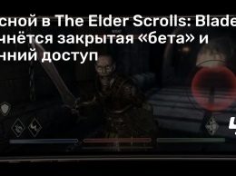Весной в The Elder Scrolls: Blades начнется закрытая «бета» и ранний доступ