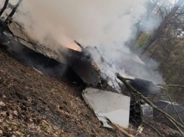 В Польше разбился истребитель МиГ-29, пилот катапультировался