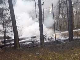 В Польше разбился военный истребитель и спровоцировал пожар в лесу (фото, видео)