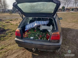 Бизнесмены от Бога: одесситы собирали цветы с могил на Таировском кладбище для продажи