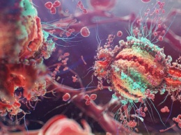 Ученые заявили о втором случае излечения от ВИЧ