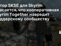 Автор SKSE для Skyrim опасается, что кооперативная Skyrim Together навредит моддерскому сообществу