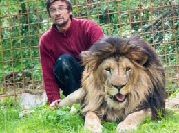 В Чехии домашний лев растерзал своего хозяина. Фото