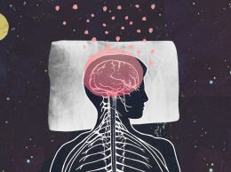 Сон оказался необходим для «техобслуживания» ДНК в нейронах