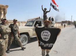 Около 500 боевиков ИГИЛ сдались силам международной коалиции в Сирии