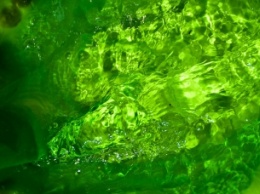 На запорожском курорте вода окрасилась в зеленый цвет
