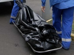 В Мелитополе водитель погиб, упав с кормовоза