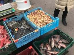 В Кривом Роге из незаконного оборота изъяли более 500 пачек сигарет, рыбу и мясо