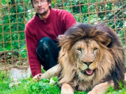 В Чехии "домашний" лев убил хозяина