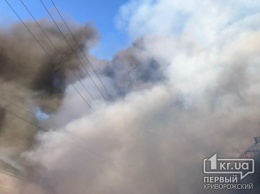В Кривом Роге участились случаи возгорания сухостоя и стихийных свалок