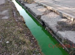 Фотофакт: Жителей Запорожской области напугала "зеленая" вода