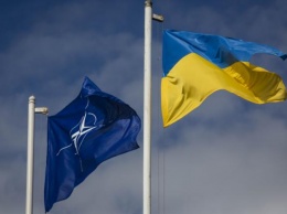 В НАТО в пятую годовщину аннексии напомнили, чей Крым