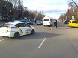 Полиция Днепропетровщины устроила погоню за лошадью