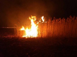 Важно! На Днепропетровщине количество пожаров в экосистемах поражает