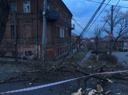 Древопад в Днепре: упавшая ветка перегородила дорогу на Камчатской