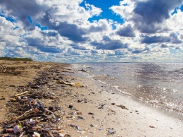 Пластиковые отходы возрастут вдвое к 2030 году: в чем опасность для жителей Земли