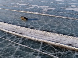 Сибирские водители поразили британцев бесстрашием на зимних переправах