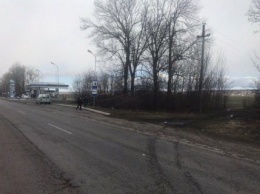 В Черновицкой области из-за непогоды на трассу упали провода высоковольтной линии
