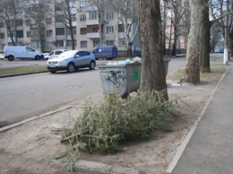 На улицах Николаева новогодние елки, прошлогодняя листва, полные баки мусора