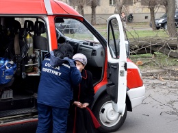 При падении дерева на маршрутку в Николаеве пострадали дети