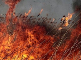 Спасатели борются с масштабным пожаром в Нижнеднестровском НПП