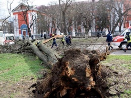 Последствия непогоды: в Украине из-за урагана погибли два человека