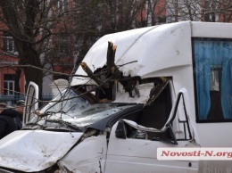 «Это стихия»: дерево, которое упало вчера на маршрутку в Николаеве, не было аварийным