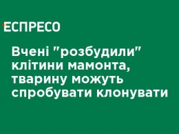 Ученые "разбудили" клетки мамонта, животное могут попытаться клонировать