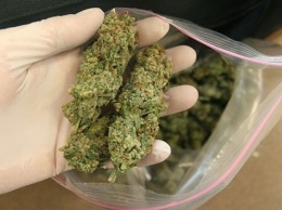 У жителя Днепропетровщины нашли два килограмма марихуаны