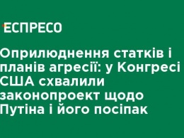 Обнародование состояния и планов агрессии: в Конгрессе США одобрили законопроект относительно Путина и его приспешников