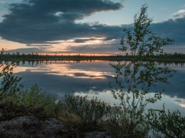 Ученые узнали, какие озера Ямала самые чистые