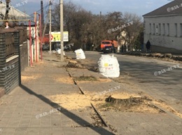 В Мелитополе аллею акации принесли в жертву новой дороге (фото)