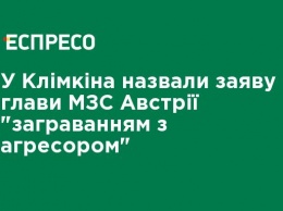 У Климкина назвали заявление главы МИД Австрии "заигрыванием с агрессором"