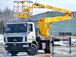 В Кременчуге пригнали автовышку, чтобы спасти кота с 25-метрового дерева