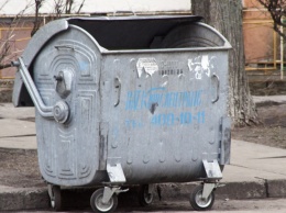 В Харькове школьница расплакалась возле мусорки (фото)