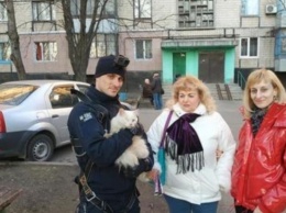 На Днепропетровщине экстремал снял кота с девятиэтажного дома
