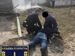 На Днепропетровщине полицейский требовал «откупные» за вырубку деревьев