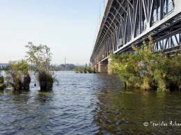 Деревянный мост - легенда Днепра существовал! - блогер
