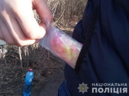 Под Кривым Рогом полиция задержали парня с метамфетамином