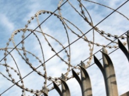 Ужасы за «колючкой»: расследование пыток заключенных колонии Запорожской области (ВИДЕО)